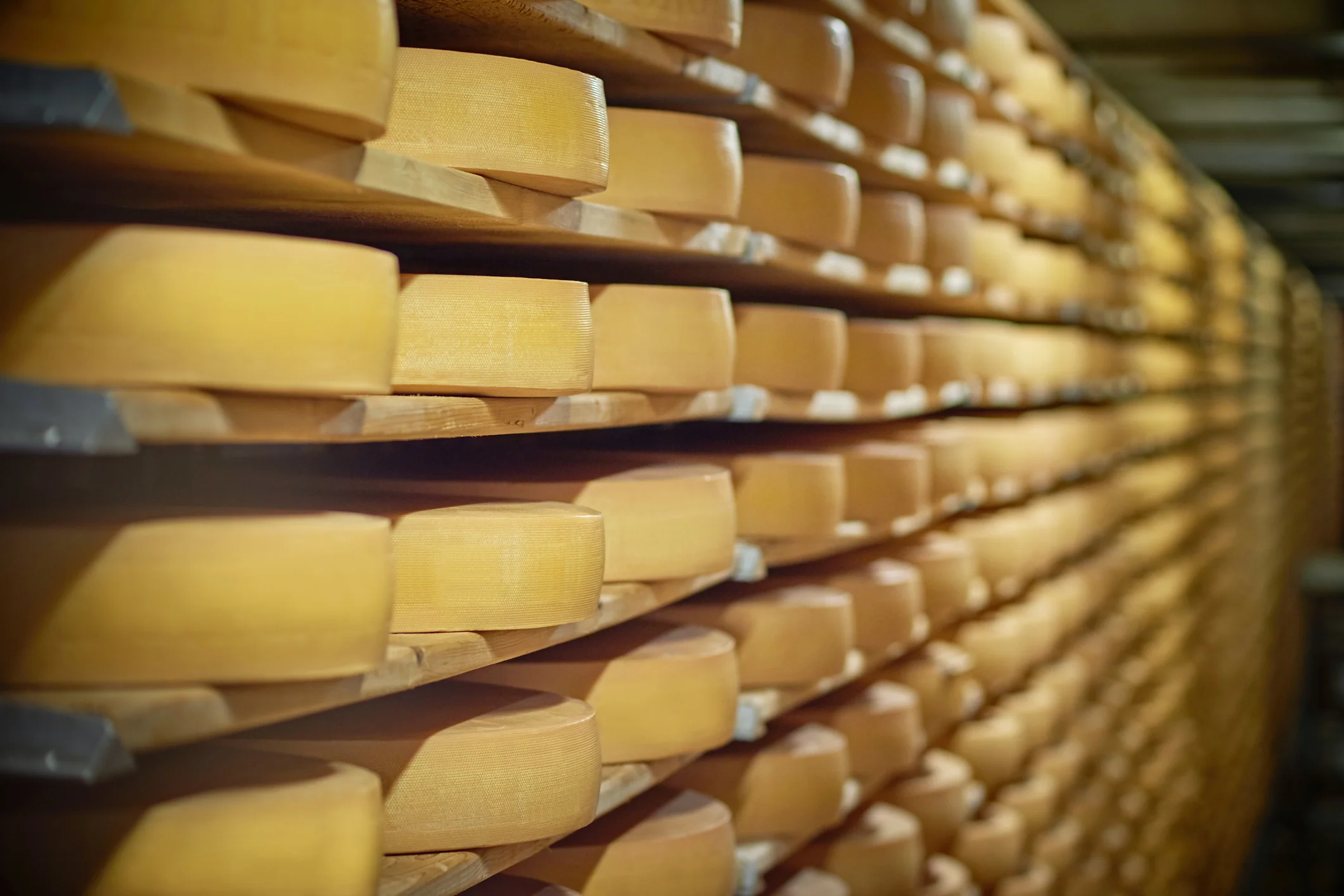 Close-up of the cheese wheel on the shelf.
